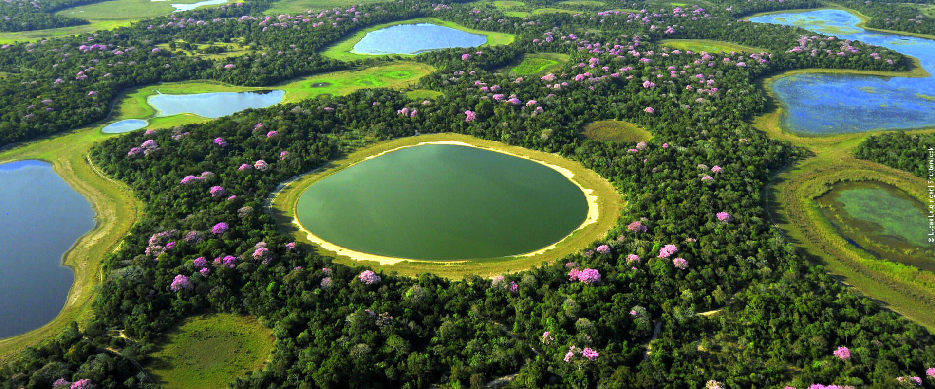 Conheça as melhores experiências turísticas no Pantanal em 2023