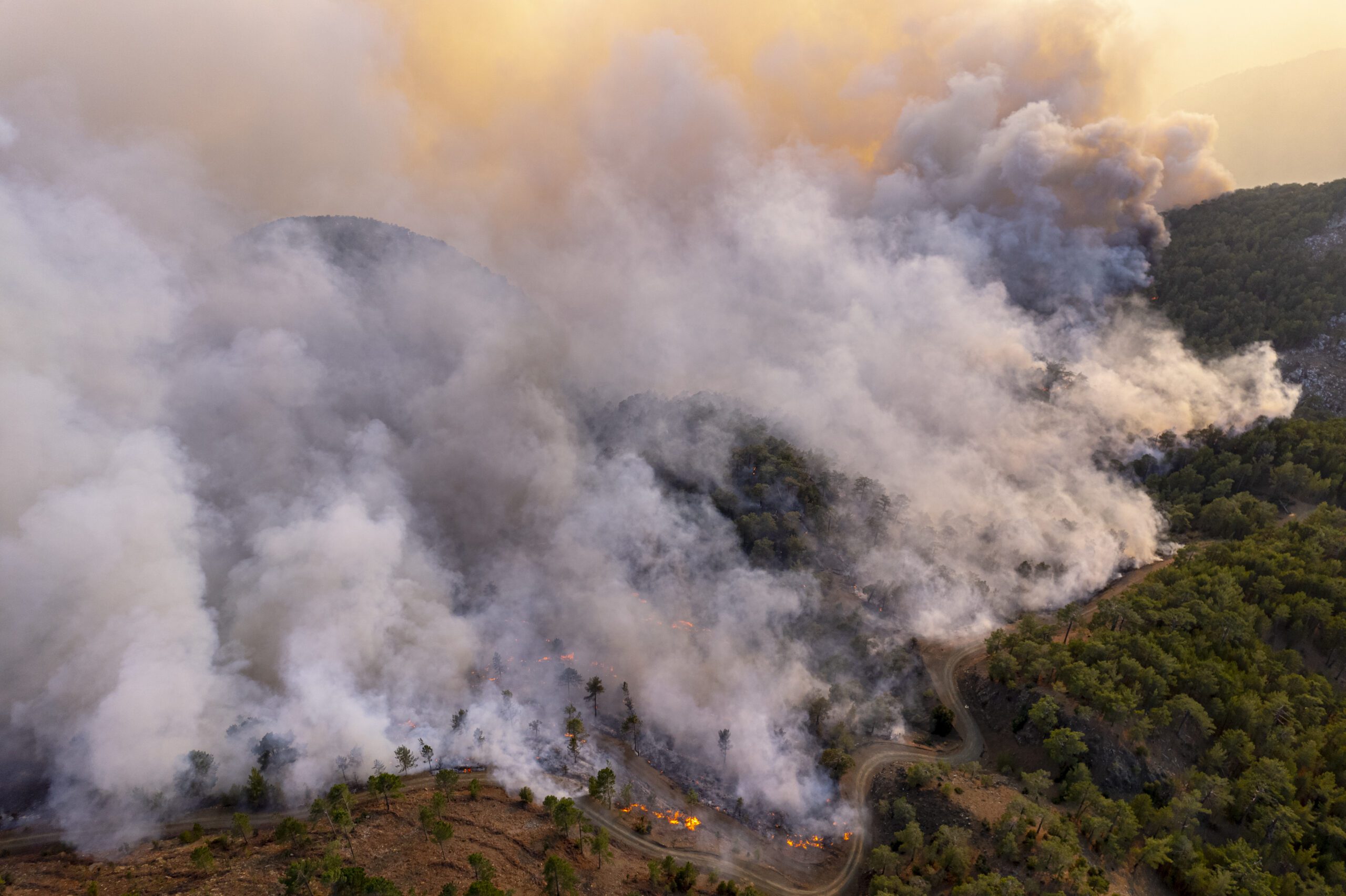 As Queimadas: Um Incêndio na Alma do Ecoturismo